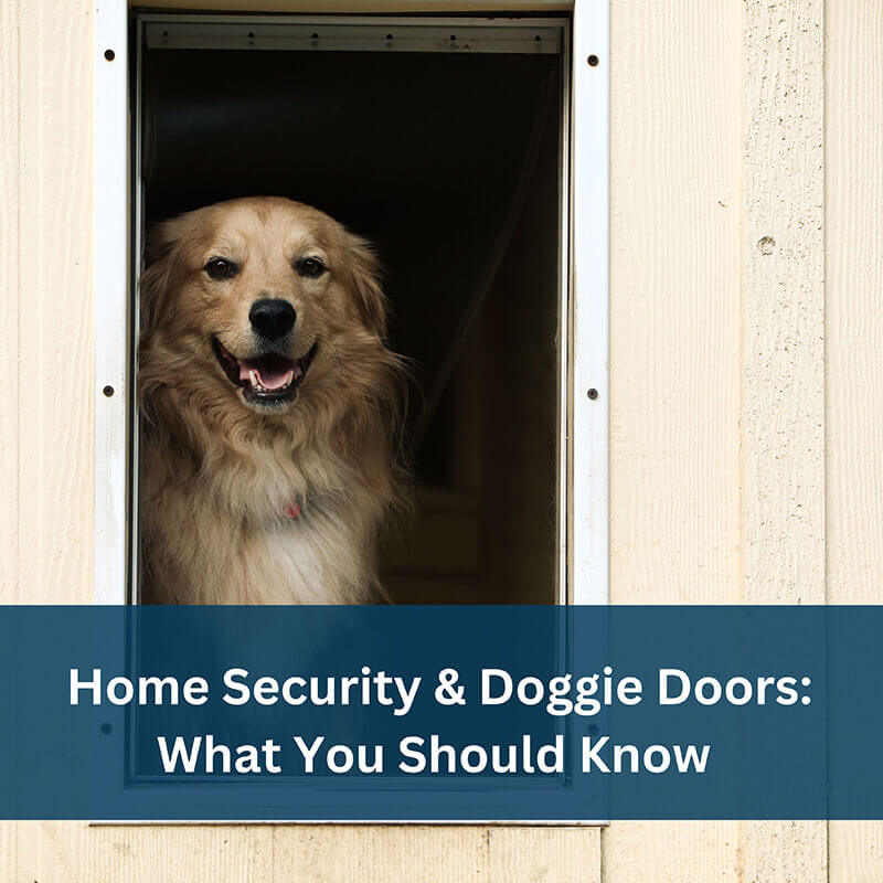 Home Security & Doggie Doors: What You Should Know