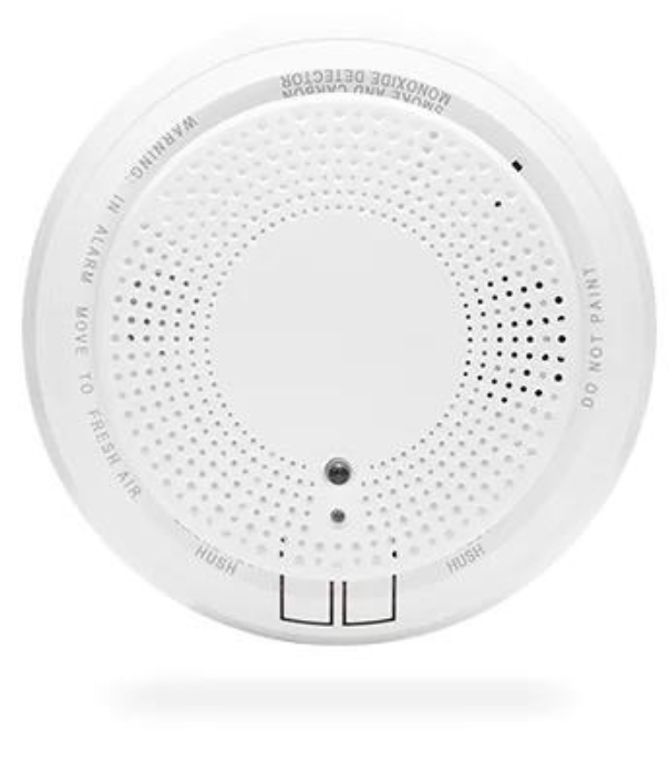 Co Detector