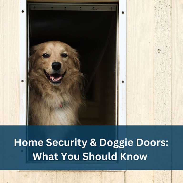 What you should know about doggy doors